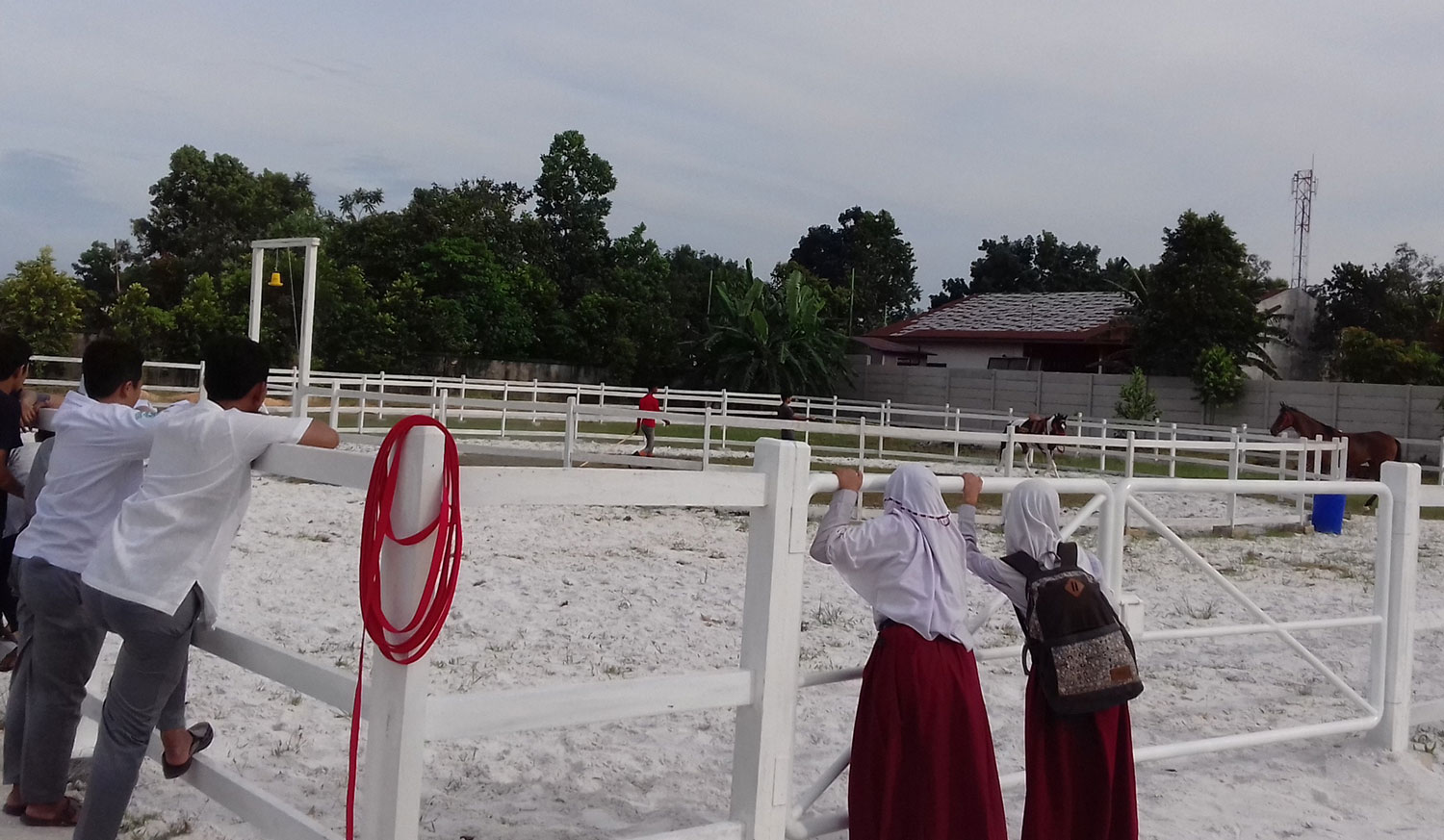 Dua Kuda Menjadi Penghuni Pertama Arena Pelatihan dan Pengenalan Berkuda Pesantren Babussalam